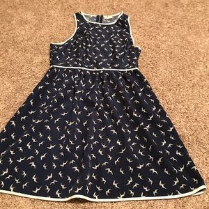Beautiful bird print dress.